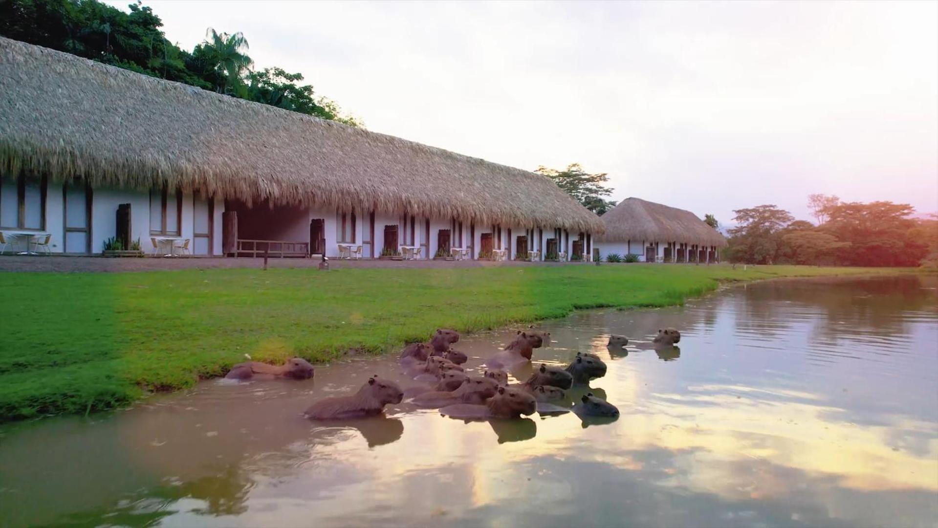 Hotel Reserva De Piedemonte Villavicencio Exteriör bild